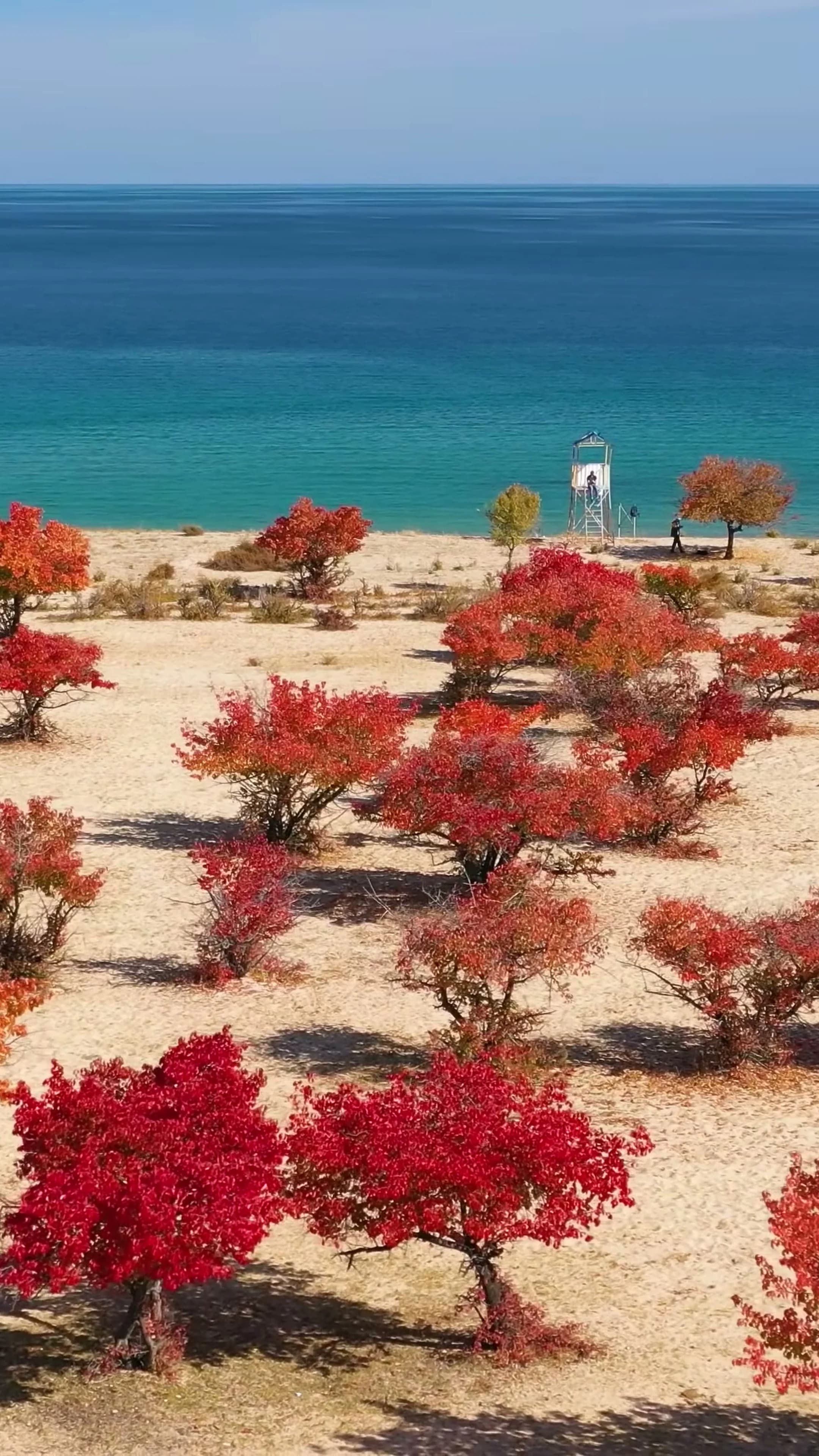 Осень у Иссык-Куля